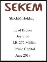 Seekem-Holding-June-2019-232x300